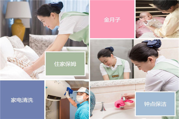 威廉希尔APP今年河北省将引领6万名妇女在家政领域就业