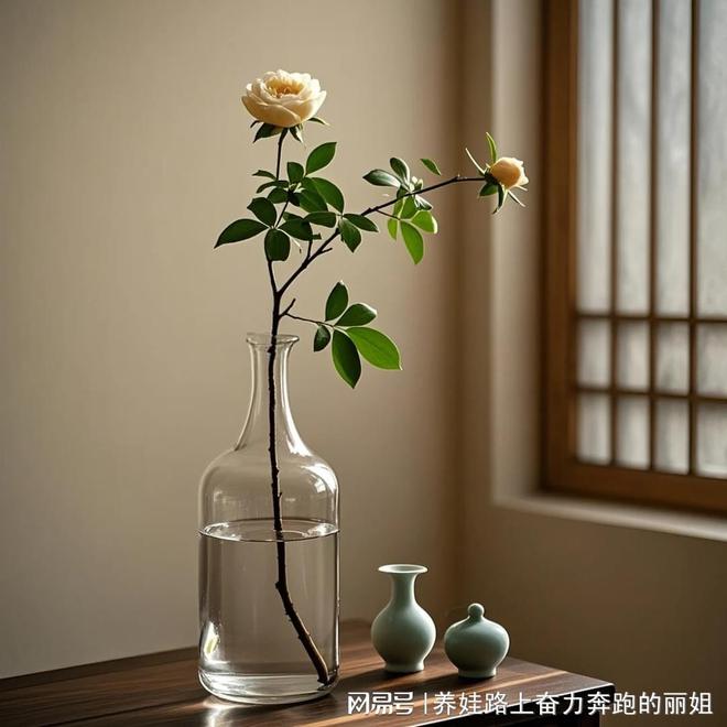 她凭什么成为女王智慧王牌月嫂(图1)