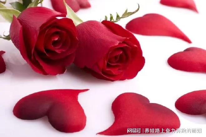 女王智慧月嫂诠释专业与爱的完美融合(图1)