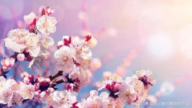 重庆女王智慧月嫂为你提供全方位的月子服务(图1)