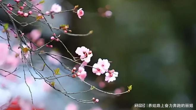重庆女王智慧月嫂为你提供全方位的月子服务(图3)