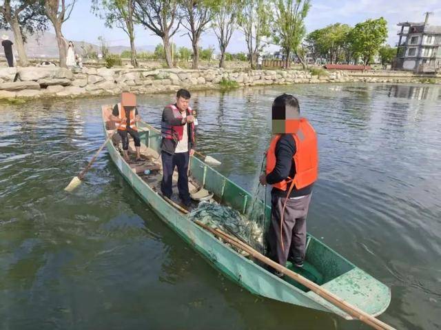 “假保洁”真偷捕大理一村民假冒洱海保洁员被抓现行(图1)